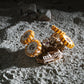 NASA Lunární rover