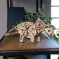 Triceratops